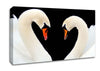 Love Heart Swans Canvas Wall Art