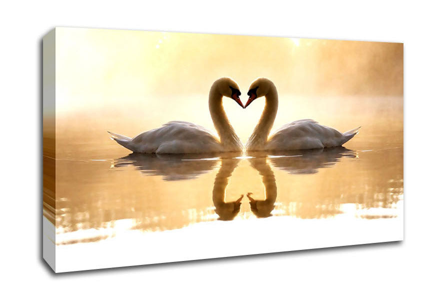 Loving Swans Canvas Wall Art