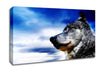Magnificant Wolf Canvas Wall Art