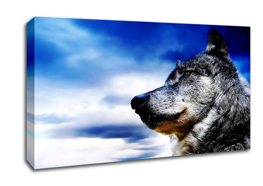 Magnificant Wolf Canvas Wall Art