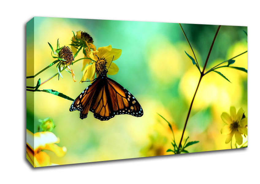Monarch Butterfly On A Yellow Flower Canvas Wall Art