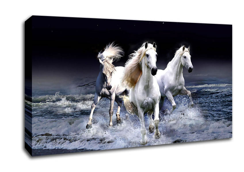 Mystic Horses Canvas Wall Art