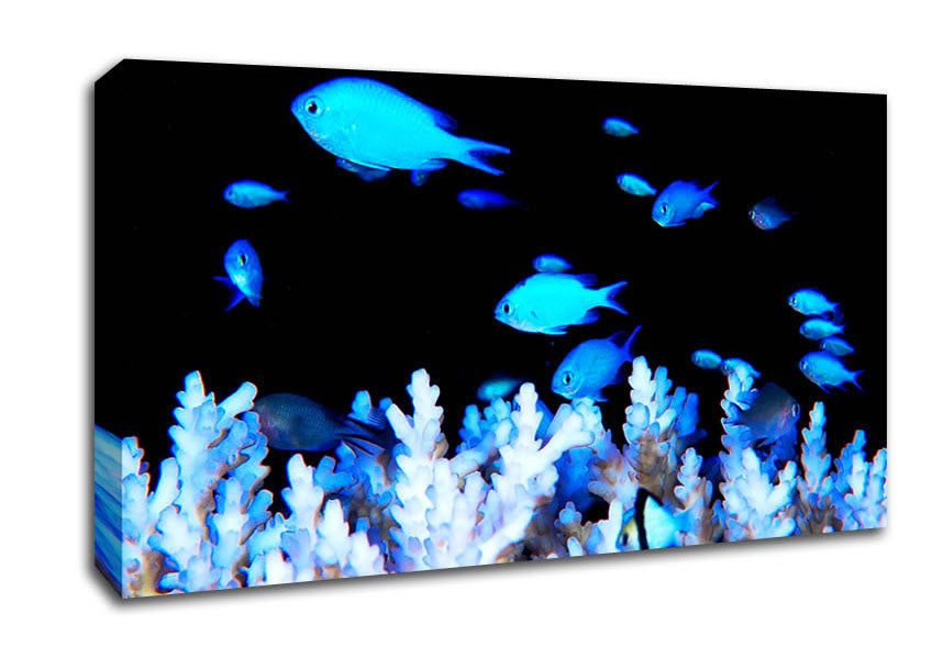Neon Fish Canvas Wall Art