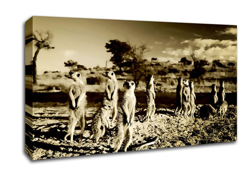 Noisy Meerkats Canvas Wall Art