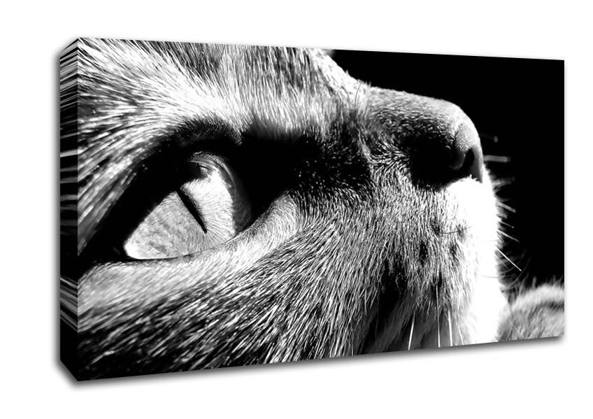 Nostalgic Cat Canvas Wall Art
