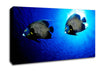 Ocean Delight Canvas Wall Art