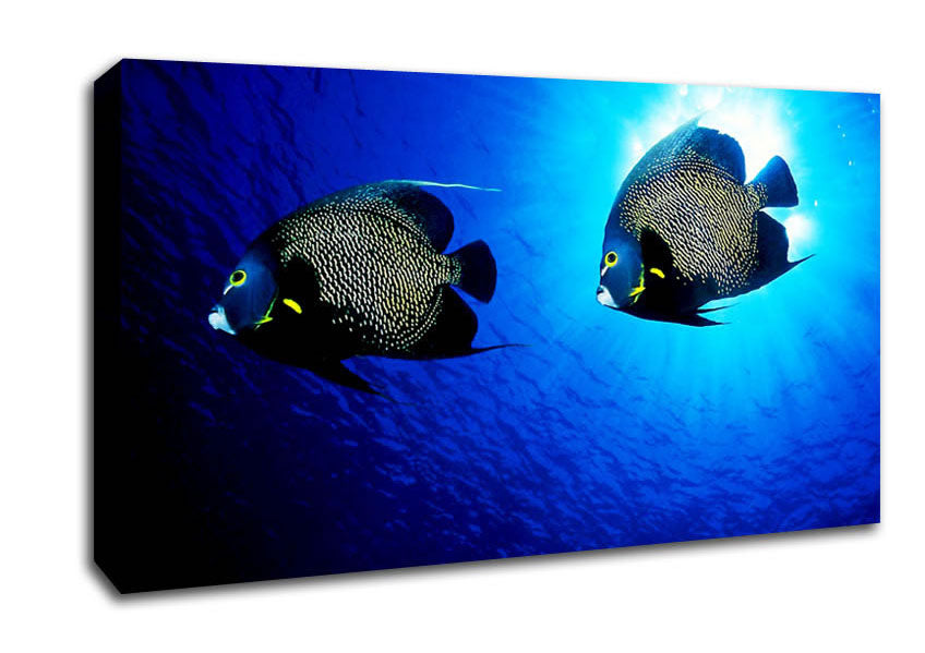 Ocean Delight Canvas Wall Art