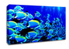 Ocean Fun Canvas Wall Art