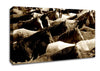 Ocean Of Horses Canvas Wall Art