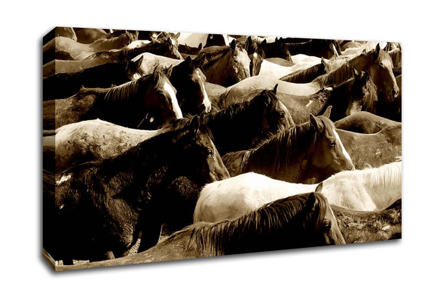 Ocean Of Horses Canvas Wall Art
