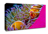 Ocean Sea Underwater Canvas Wall Art