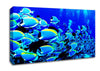 Oceans Glory Canvas Wall Art