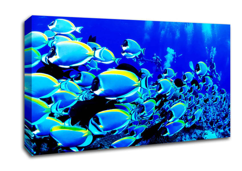 Oceans Glory Canvas Wall Art