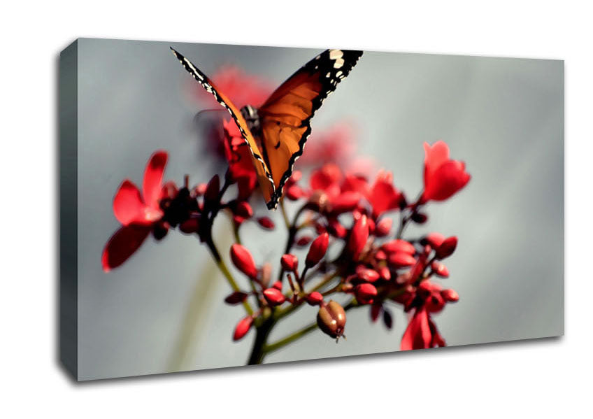 Orange Butterfly On Flower Canvas Wall Art