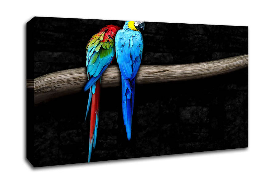 Pair Of Parrots Canvas Wall Art