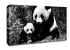 Panda Mother And Baby Canvas Wall Art