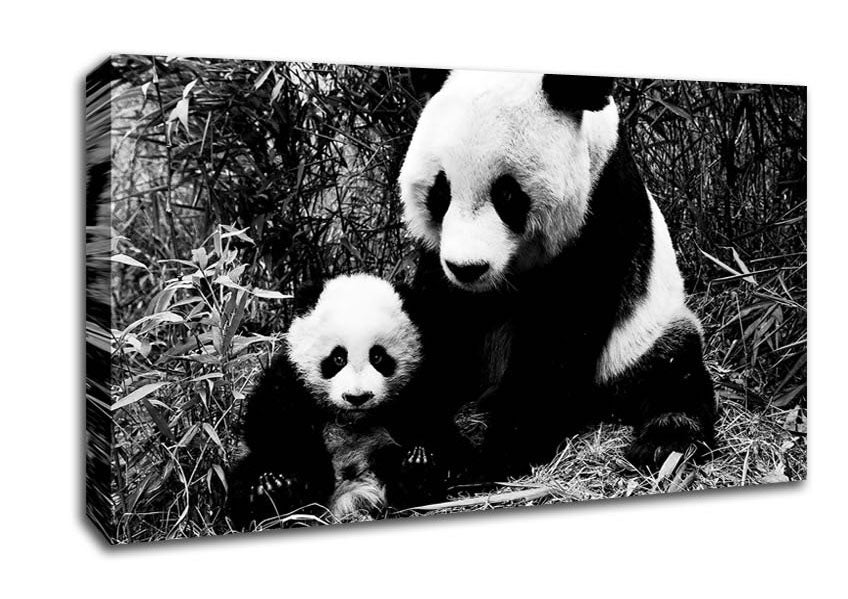 Panda Mother And Baby Canvas Wall Art