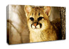 Panther In The Woodland Canvas Wall Art