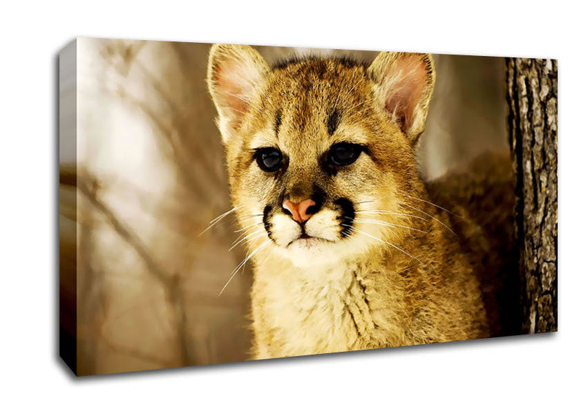 Panther In The Woodland Canvas Wall Art