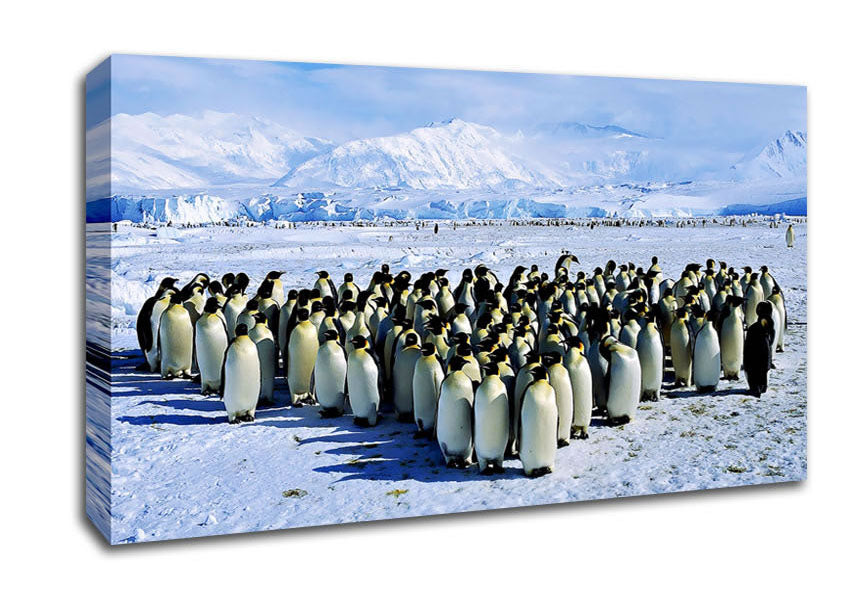 Penguin Cuddle Canvas Wall Art