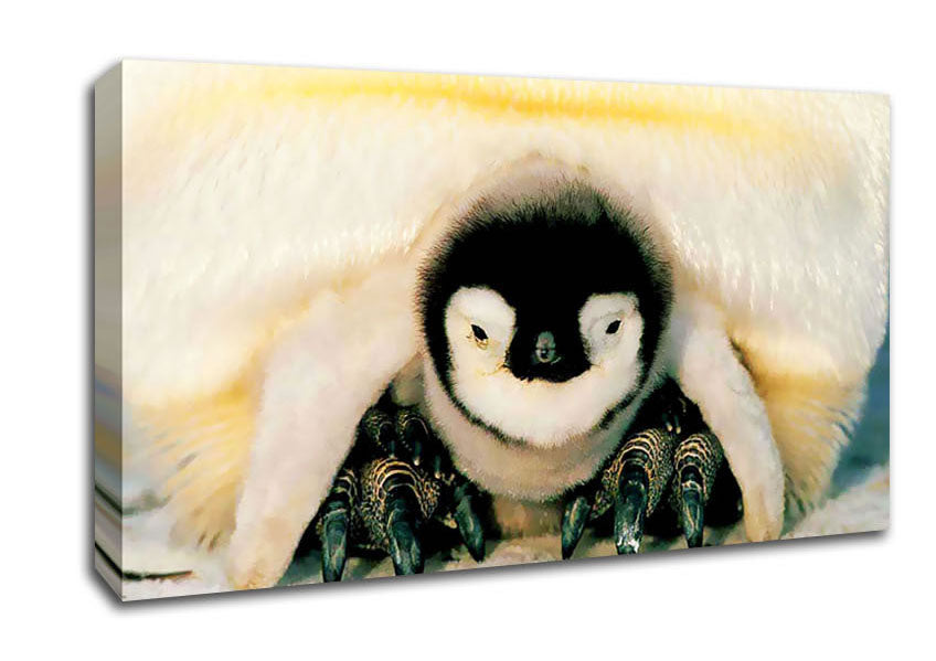 Penguin Love Canvas Wall Art