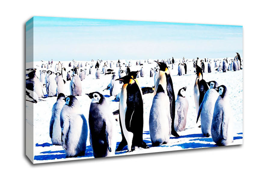 Penguin Meeting Place Canvas Wall Art