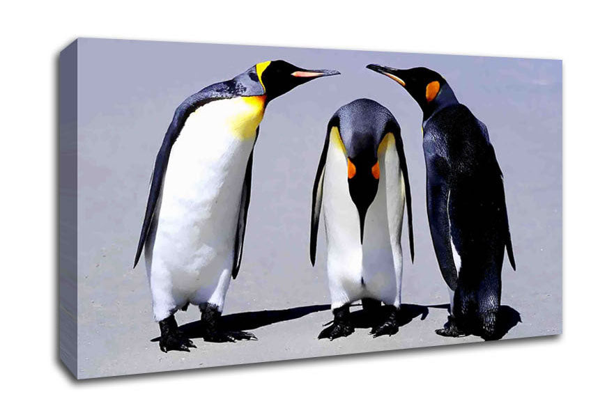 Penguin Shame Canvas Wall Art