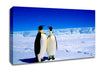 Penguin Stroll Canvas Wall Art