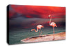 Pink Flamingo Ocean Canvas Wall Art