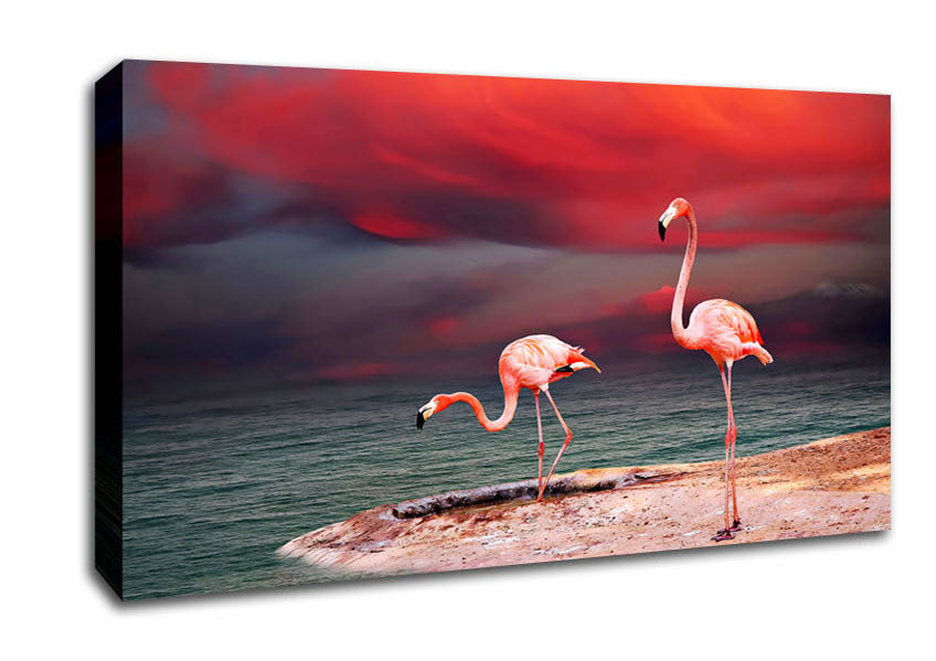 Pink Flamingo Ocean Canvas Wall Art