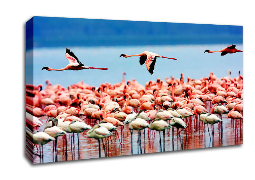 Pink Flamingos In Flight Canvas Wall Art