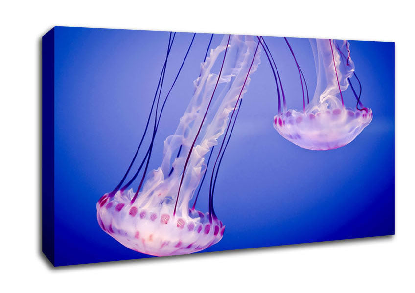 Pink Jellyfish Canvas Wall Art