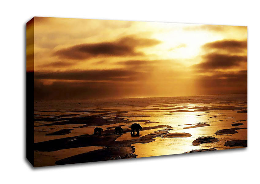 Polar Bear Treck Canvas Wall Art