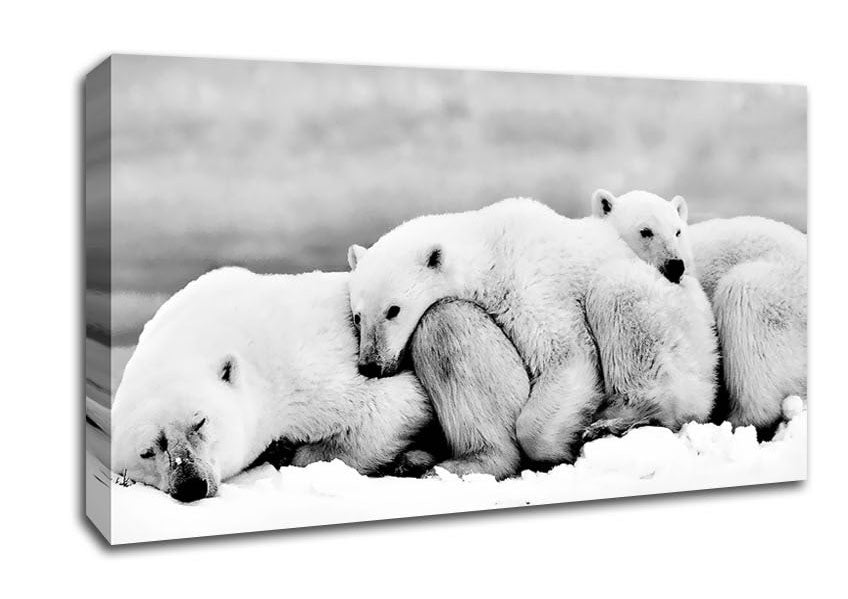 Polar bear Family Canvas Wall Art