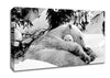 Polar bear Hug Canvas Wall Art