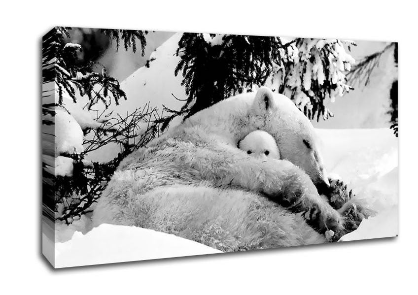 Polar bear Hug Canvas Wall Art