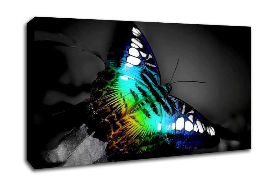 Psychodelic Butterfly Canvas Wall Art