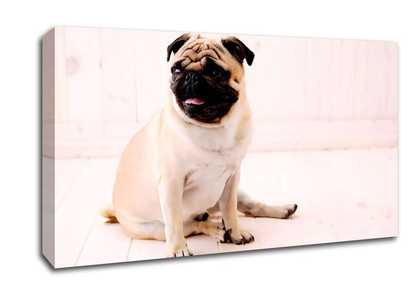 Pug Dog Canvas Wall Art