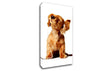 Puppy Love Canvas Wall Art