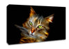 Purrfect Canvas Wall Art