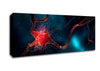 Neuron Canvas Wall Art