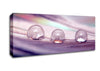 Three Water Drops Canvas Wall Art