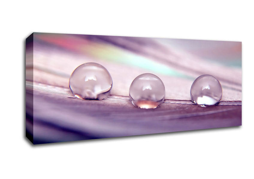 Three Water Drops Canvas Wall Art