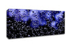 Tiny Air Bubbles Canvas Wall Art
