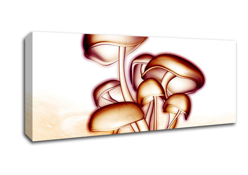 Toad Stool Canvas Wall Art