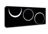 Total Eclipes Canvas Wall Art