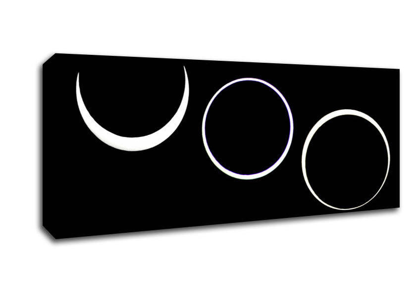 Total Eclipes Canvas Wall Art