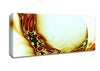 Underside Canvas Wall Art