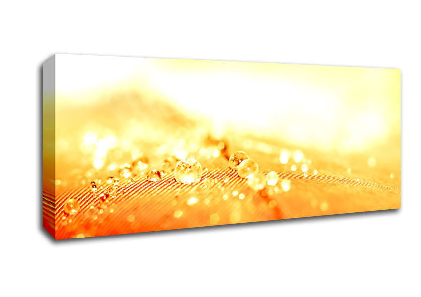 Water Resistant Canvas Wall Art