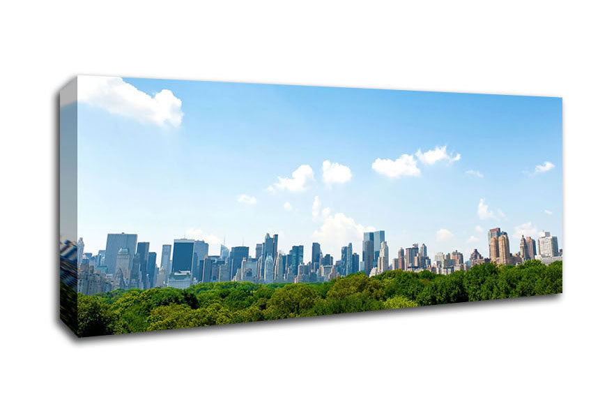 Central Park New York City Canvas Wall Art